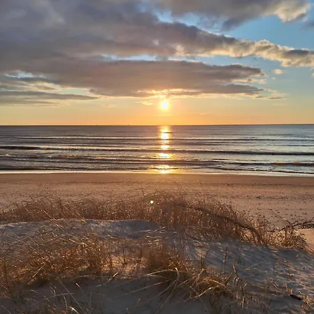 Greyhouse Palanga