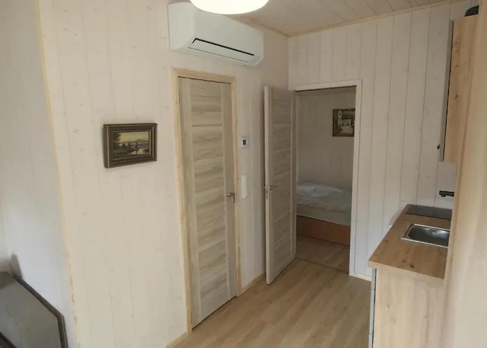 Greyhouse * Паланга